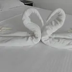 Gazde/Camere de închiriat Casa Emelis Eforie Nord