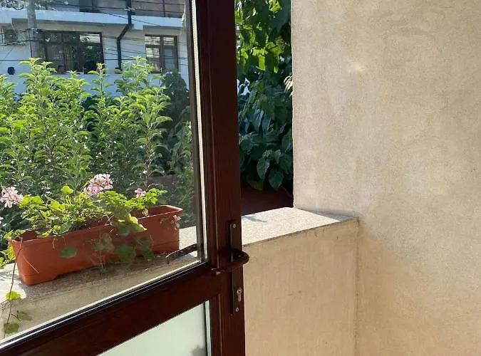 Casa Emelis * Észak-Eforie