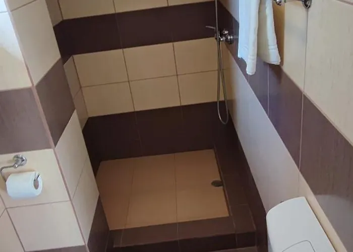 Homestay szállás Casa Emelis