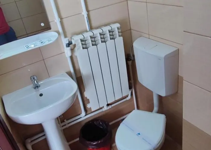 Homestay szállás Casa Emelis